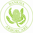 bankia-logo